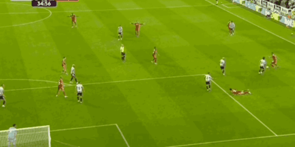 利物浦第, 维尔茨和加